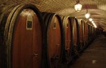 Strasbourg wine museum